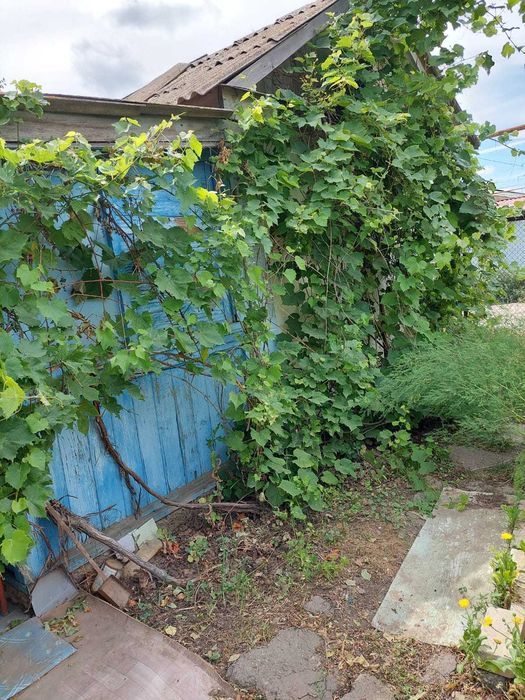 Продам дачу на Айгуле