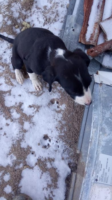 Гарантия есть все