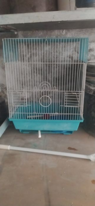 Qush qafasi sotiladi