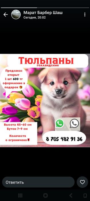 Тюльпаны с оформлением 700 тг.