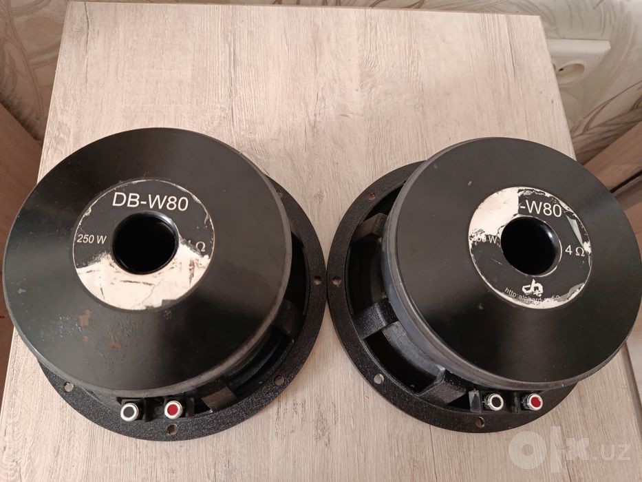 DB Deaf bonse w80