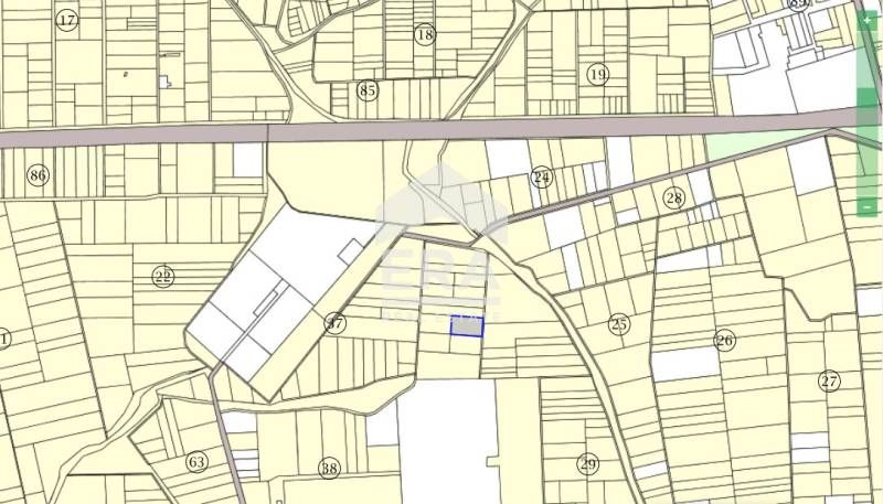 Продава се Парцел в Игнатиево - 5000 кв.м за 9 €/кв.м - Снимка #2