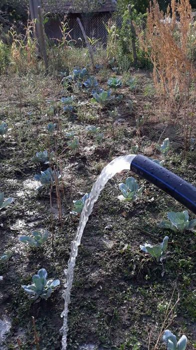 Foraje puțuri apă nr de tel:0761286298
