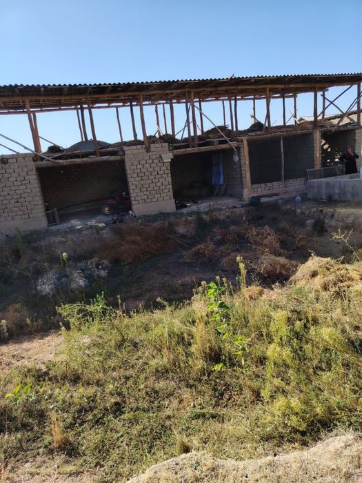 ……………………………………..