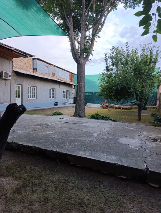 Yunusobod tumanida 5 sotix uchastka yer xisobida sotiladi