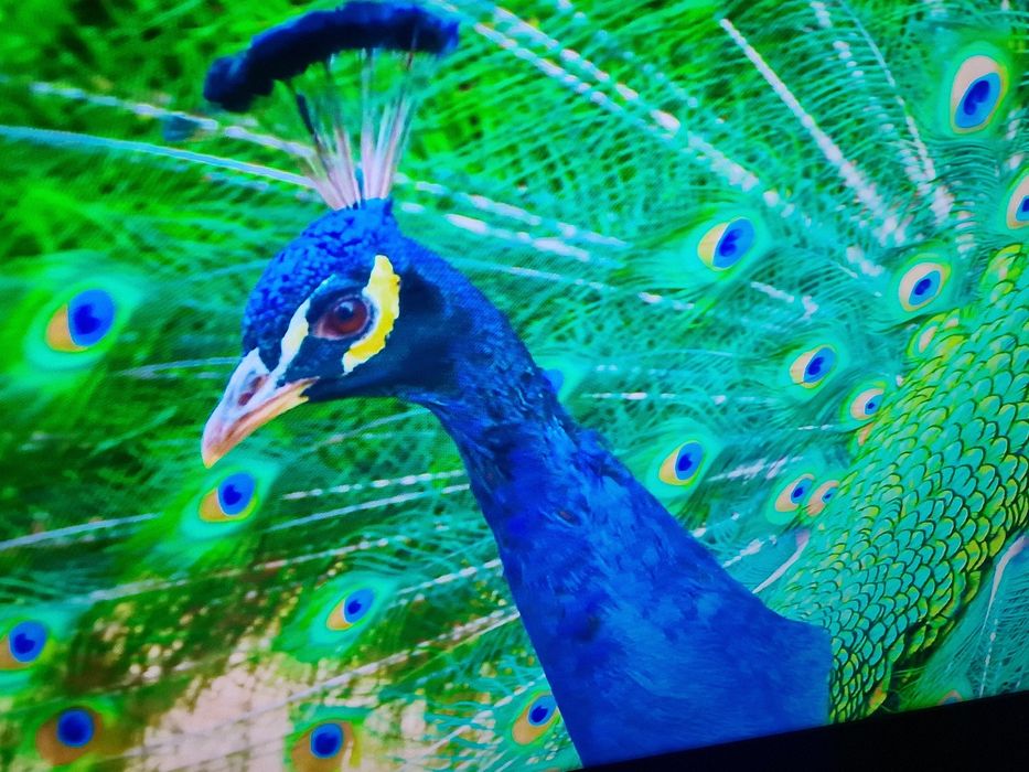 SAMSUNG UE50U8072FUXXH, 50", Crystal UHD 4K, Smart TV Tizen