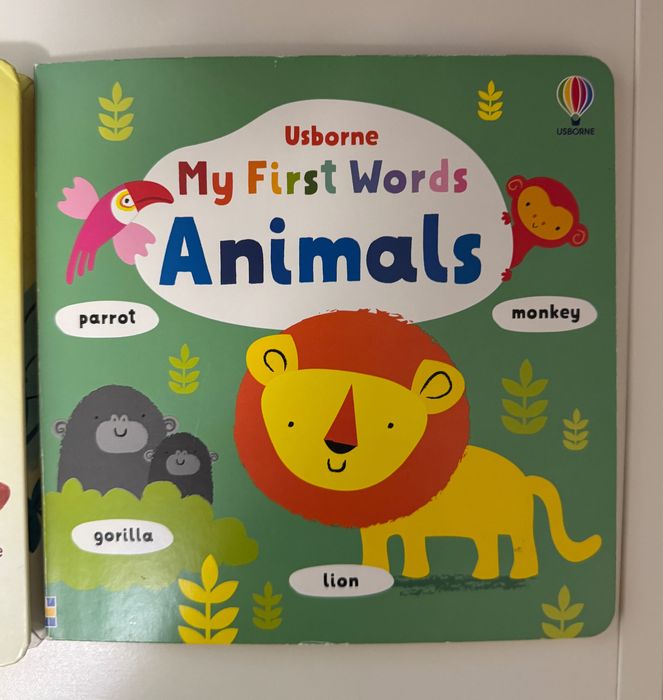 Pachet carti Usborne