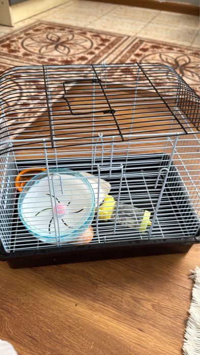 Домик для питомца