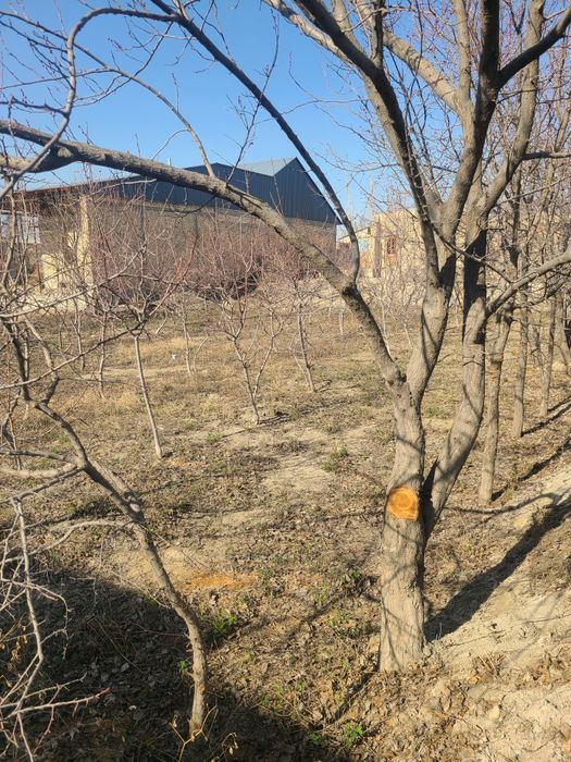 Участка сотилади