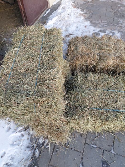 Baloți de fin și lucernă