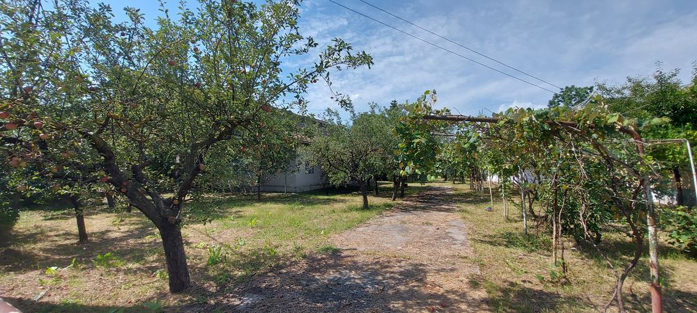Teren intravilan si casa la tara - Vedere 4