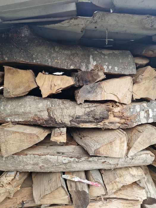 Lemne de foc fag uscat