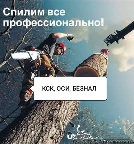 Спил деревьев, коронипование, санитарная обрезка