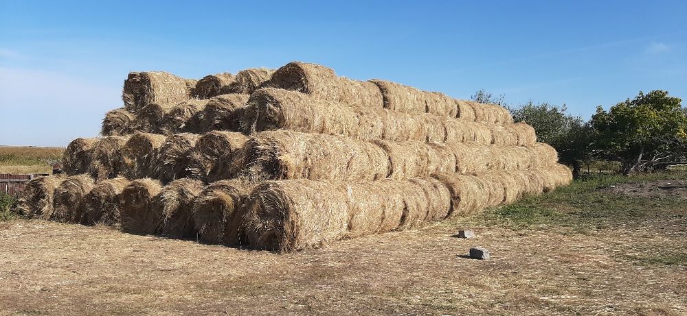 Сено рулонное, разнотравье