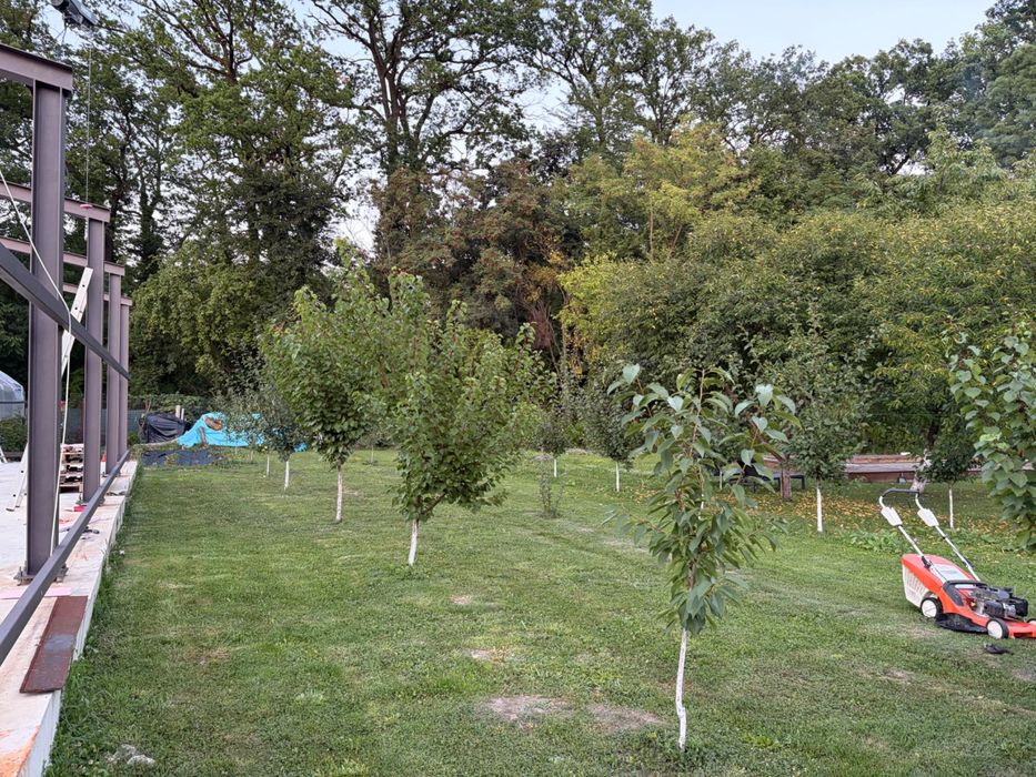 Teren plus casa bătrânească pus construcție nouă