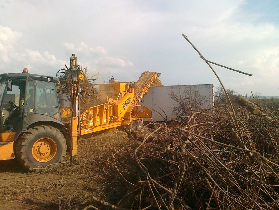 Defrisare curatare igienizare teren terenuri neingrijite.