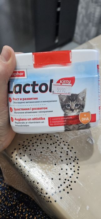 Молочная смесь для котят