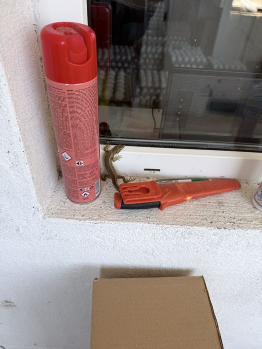 Джанти с Гуми BMW Mercedes Audi