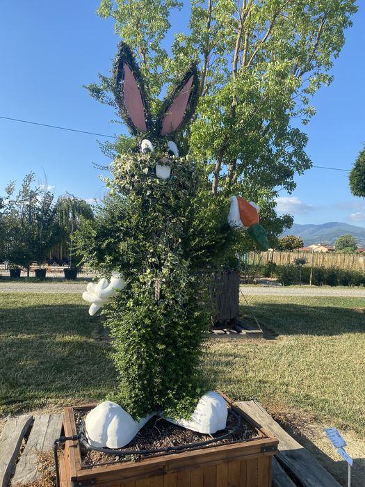 Plante aduse la comandăl