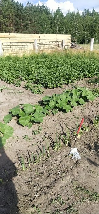 продам дачу Ближнее Белое