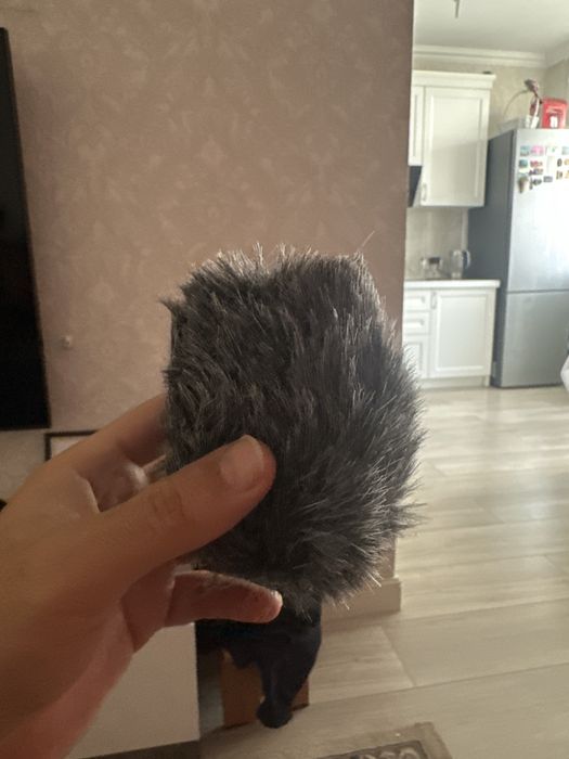 Geniusmic compact direction microphone