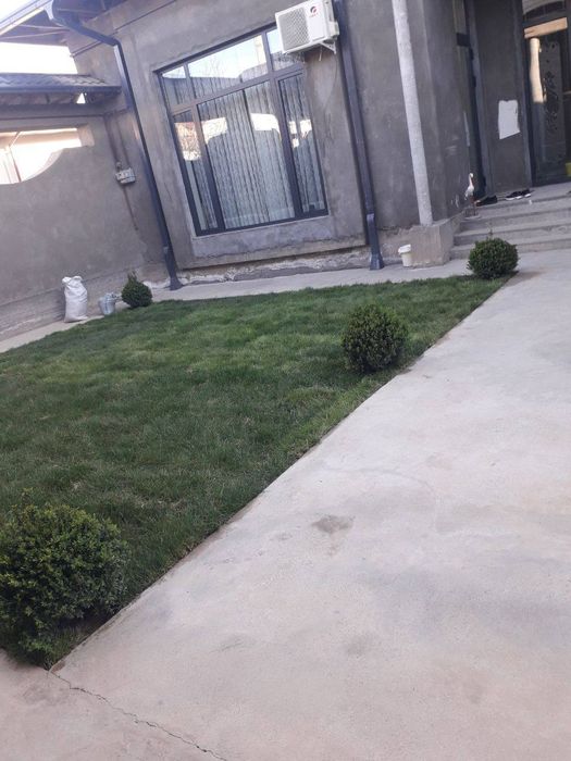 Gazon ruloniy yevro urugʻ