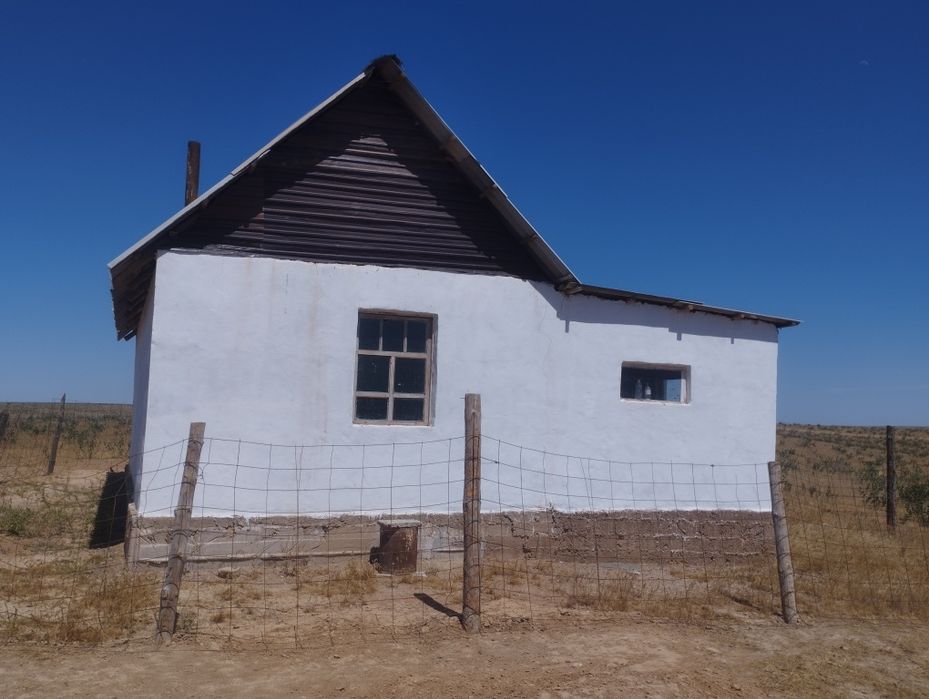 Кой кора сатылаты Уй сатылады