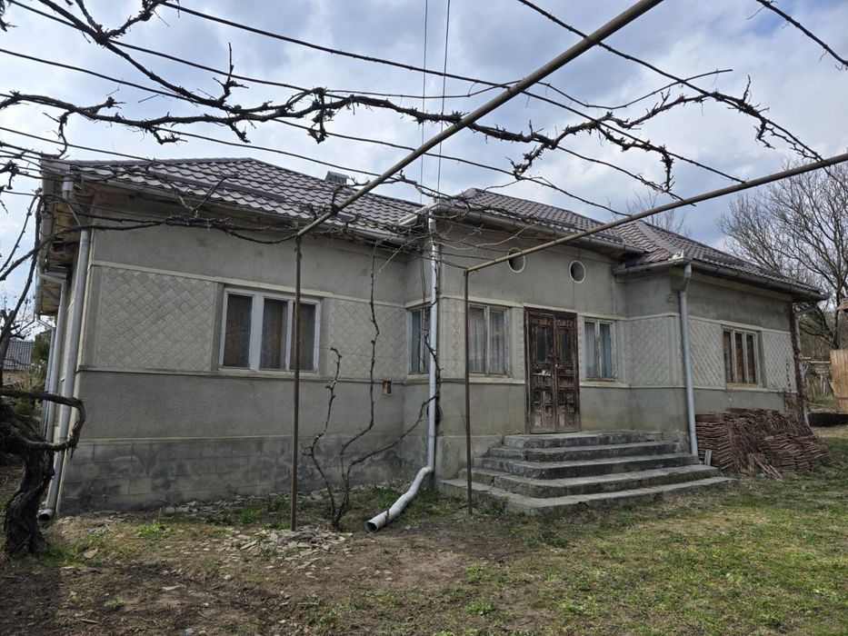 Vand Casa/Teren/Padure