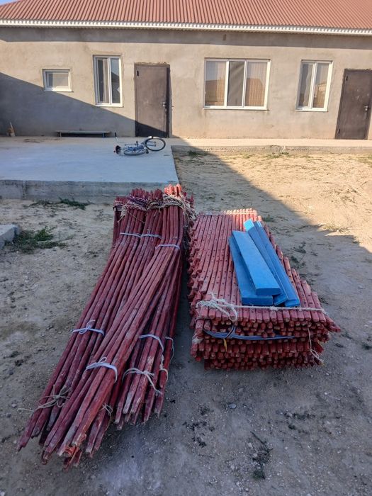 Жағдайы жақсы қасында киіздері бар