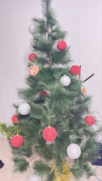 Елка пыщная новая , 1,80