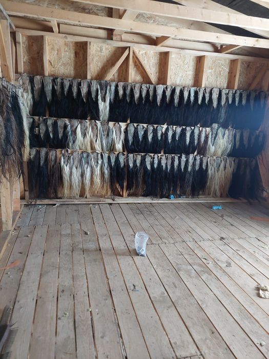 Cozi de cal pentru măști sau pleaftura