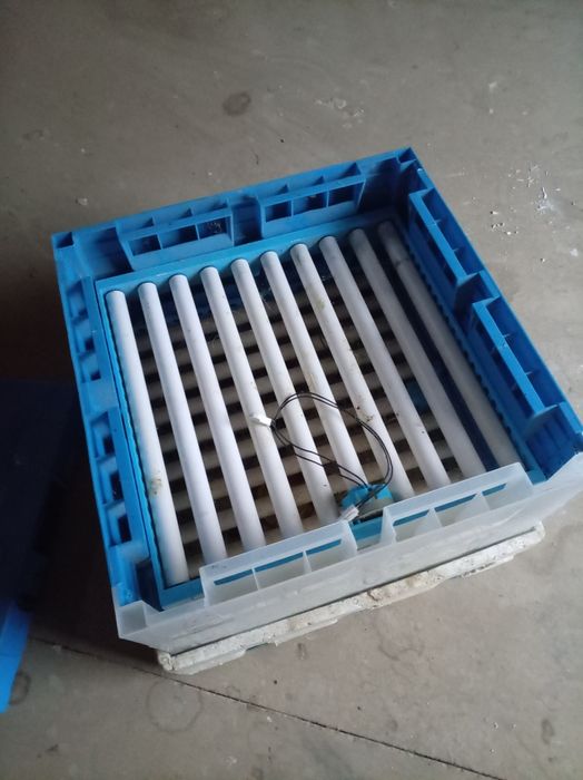 Sotiladi ochirnlar bo‘lsa sotilad