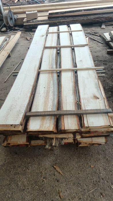 Vand cherestea de tei netivita