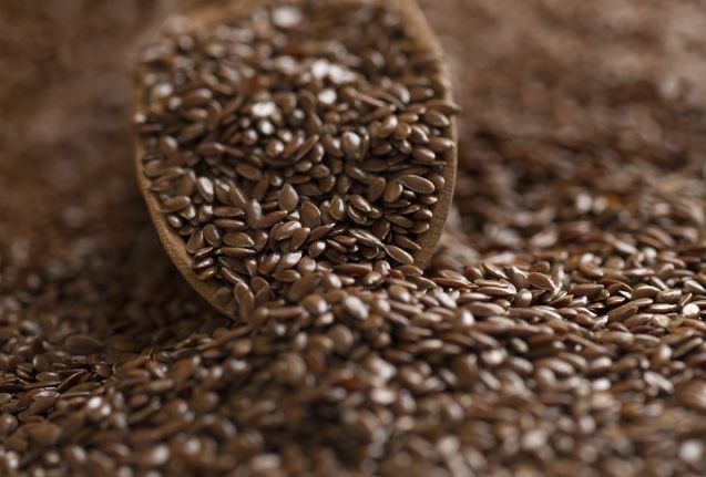 Продам семена льна