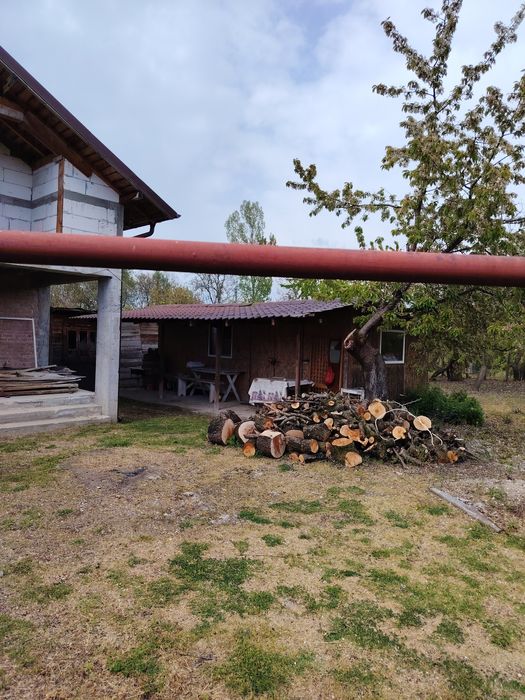 Vând casa Priboieni