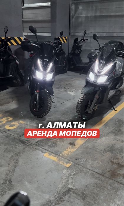 Прокат мопедов Алматы