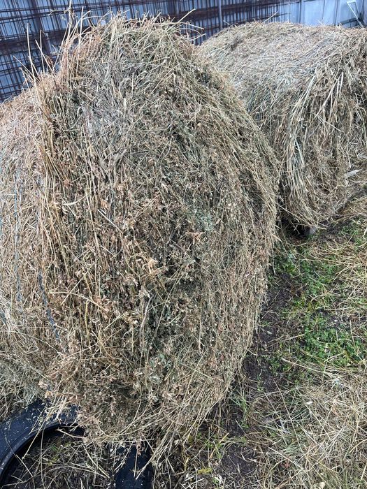 Baloti de fan sau lucerna