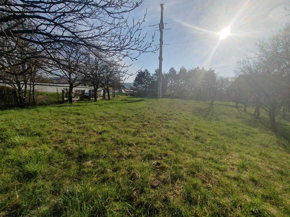 Teren(grădină) în Viișoara cu suprafața de 1800 m²