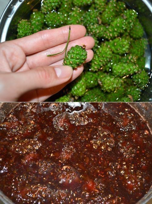 Варенье из молодых шишек
