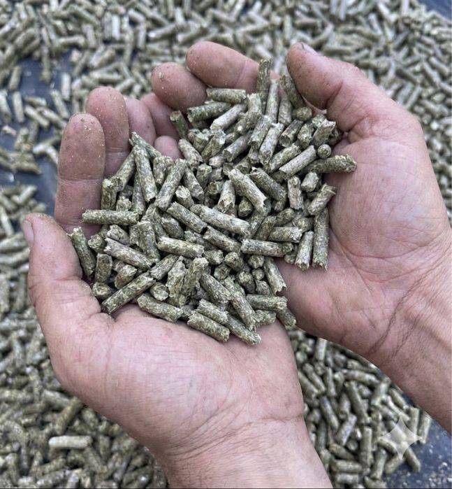 Гранулятор кормодробилка