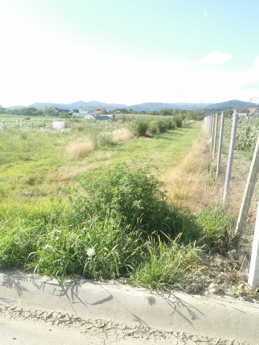 Teren intravilan, sat Sasar