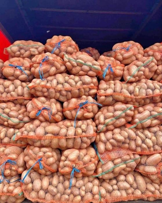 Vând cartofi de animale