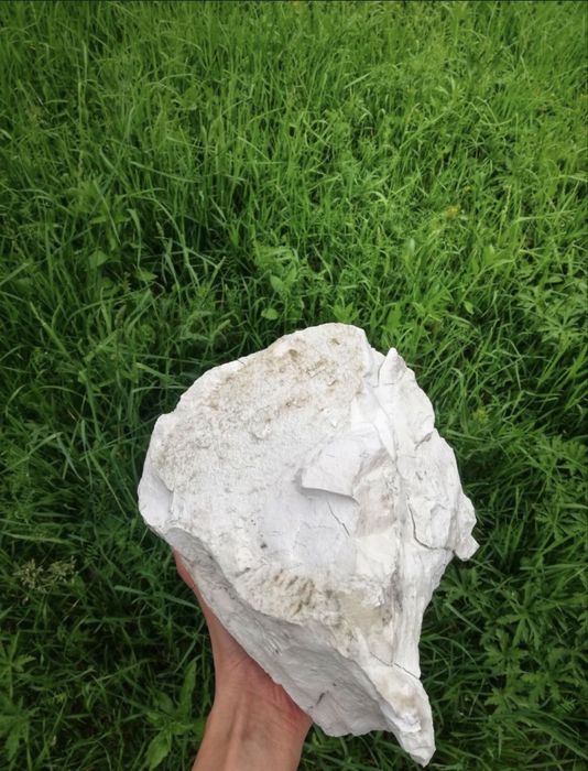 Var bulgar 20 kg