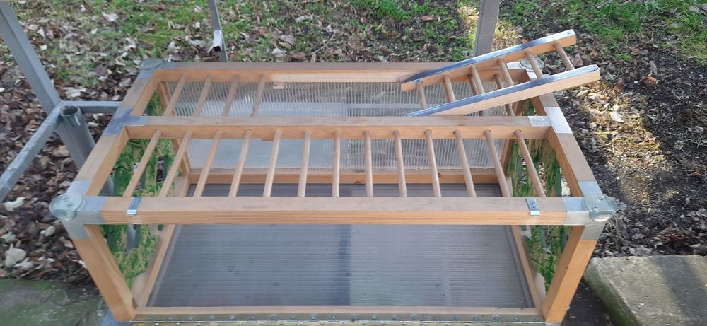 Преноски за гълъби