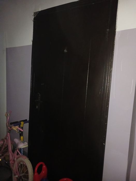 Входной дверь металлический