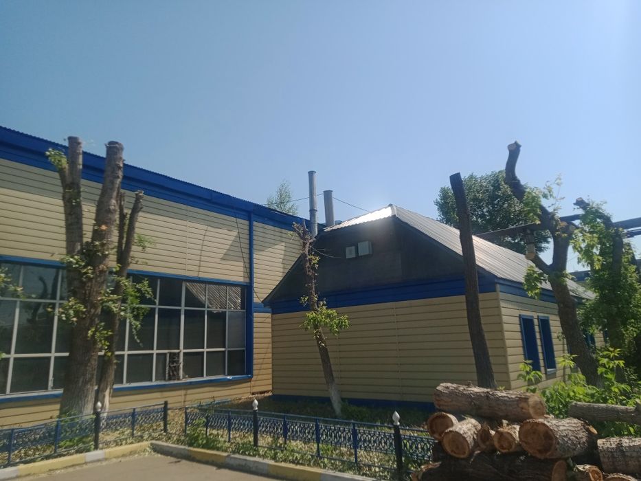 Спил, кронирование деревьев