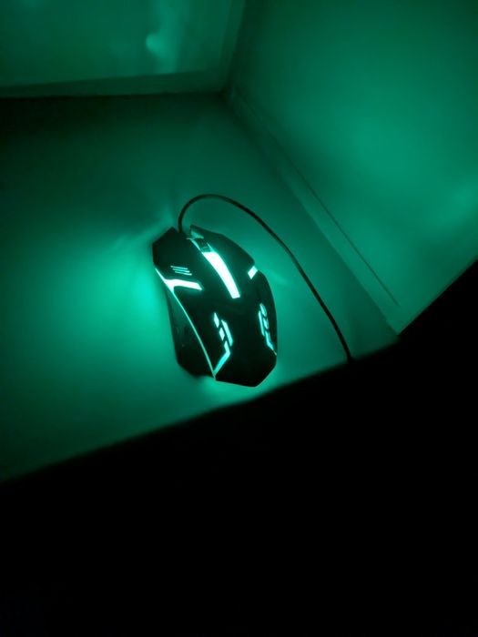 Мышка для компьютера