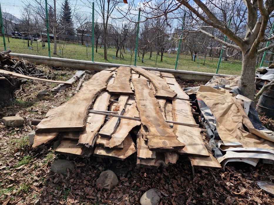 Scandura, dulapi de nuc.