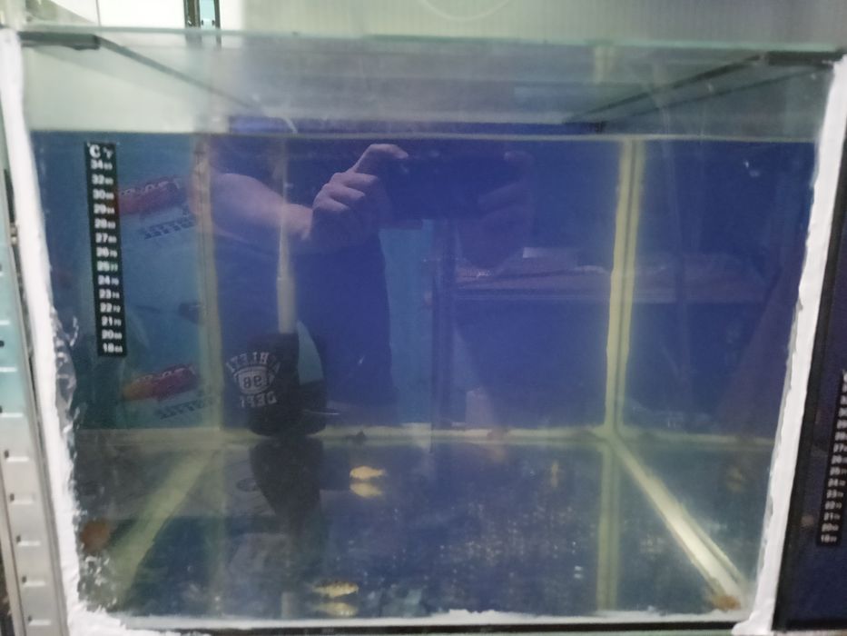 Продам аквариумы