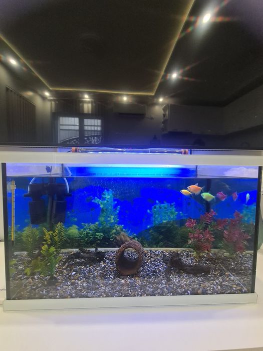 Аквариум с плъзгащ капак 50л